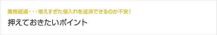 債務超過・・・増えすぎた借入れを返済できるのか不安！押えておきたいポイント